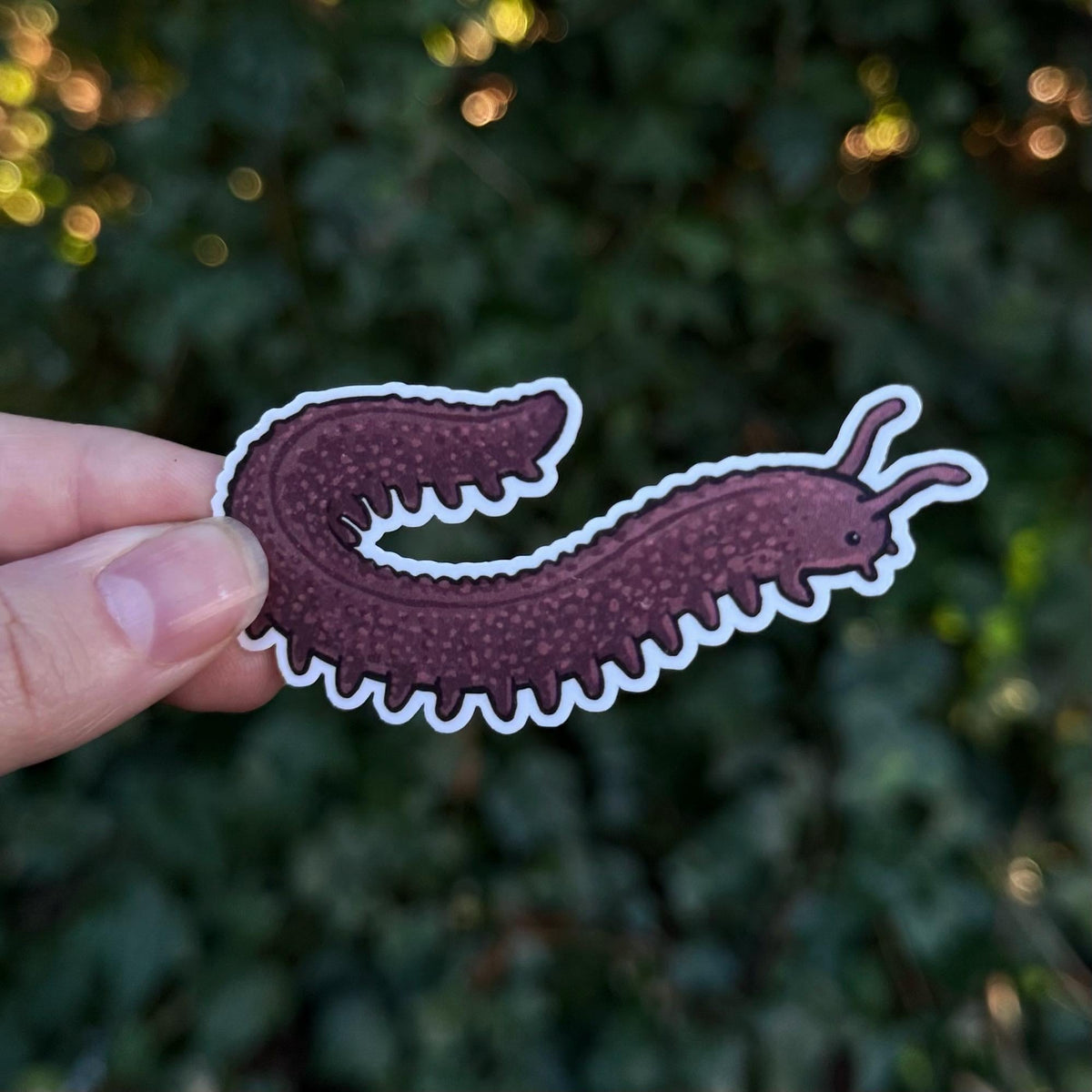 Velvet Worm sticker