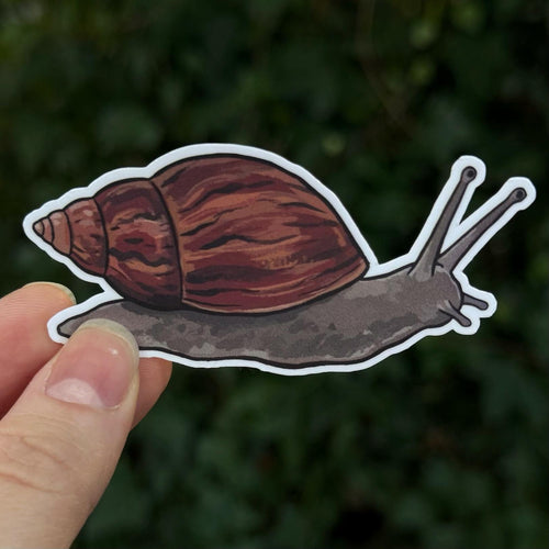Giant African Land Snail sticker