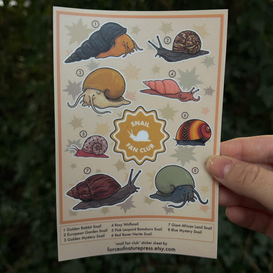 Snail Fan Club sticker sheet, cute gastropod