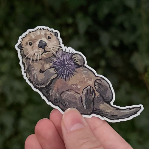 Sea Otter sticker, pnw ocean