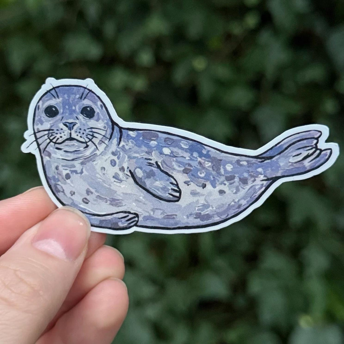 Harbor Seal sticker – view 2