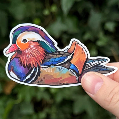 Mandarin Duck sticker, scientific illustration – view 2
