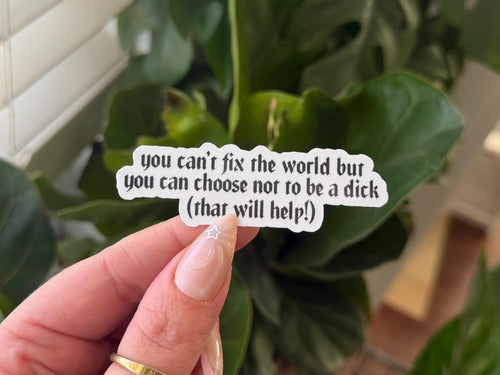 You Can’t Fix the World sticker