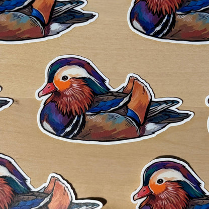 Mandarin Duck sticker, scientific illustration – view 4