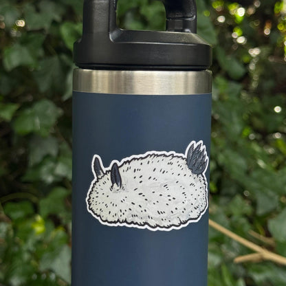 Sea Bunny sticker, sea slug nudibranch – view 4