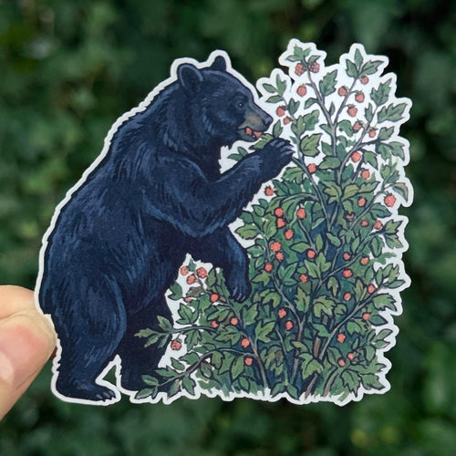Black Bear Salmonberries sticker, foraging bear