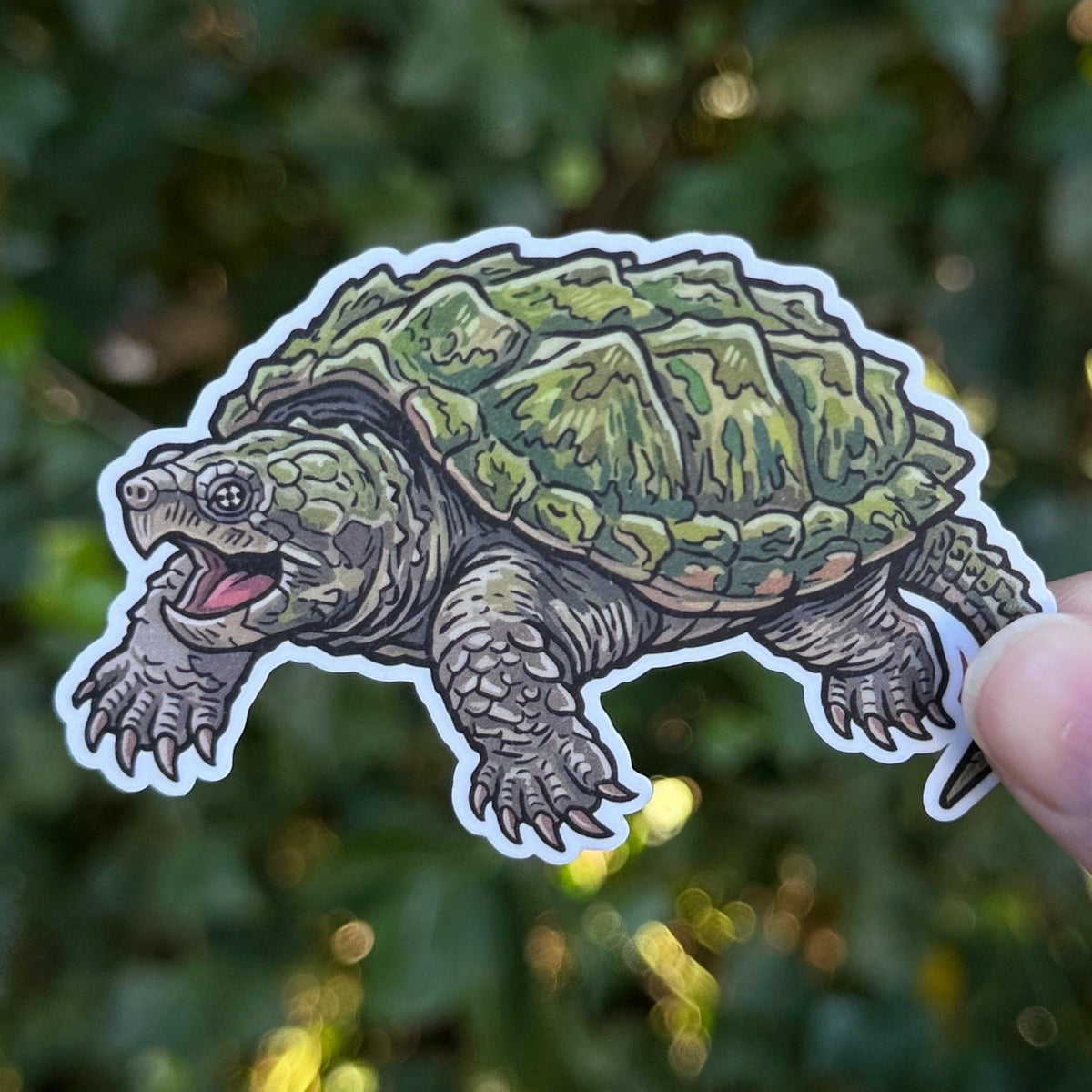 Alligator Snapping Turtle sticker