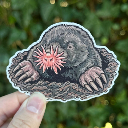 Star-nosed Mole sticker