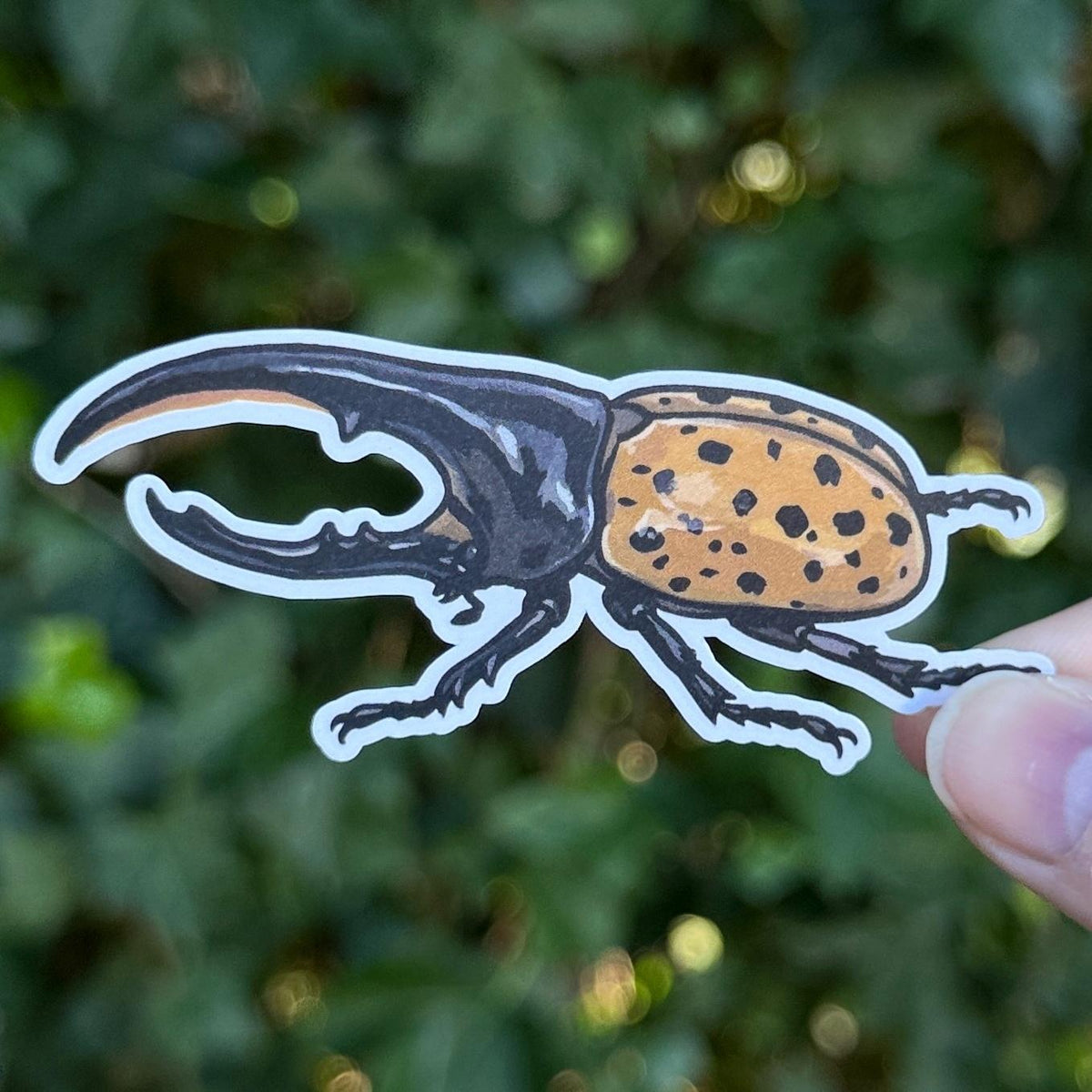 Hercules Beetle sticker, dynastes hercules