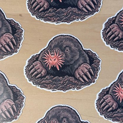 Star-nosed Mole sticker – view 2