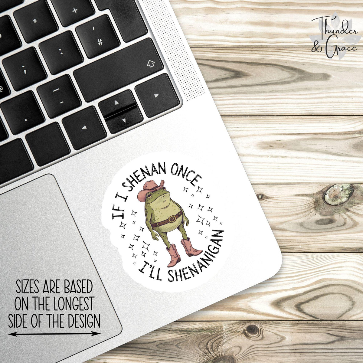 If I Shenan Once I'll Shenanigan sticker – view 3