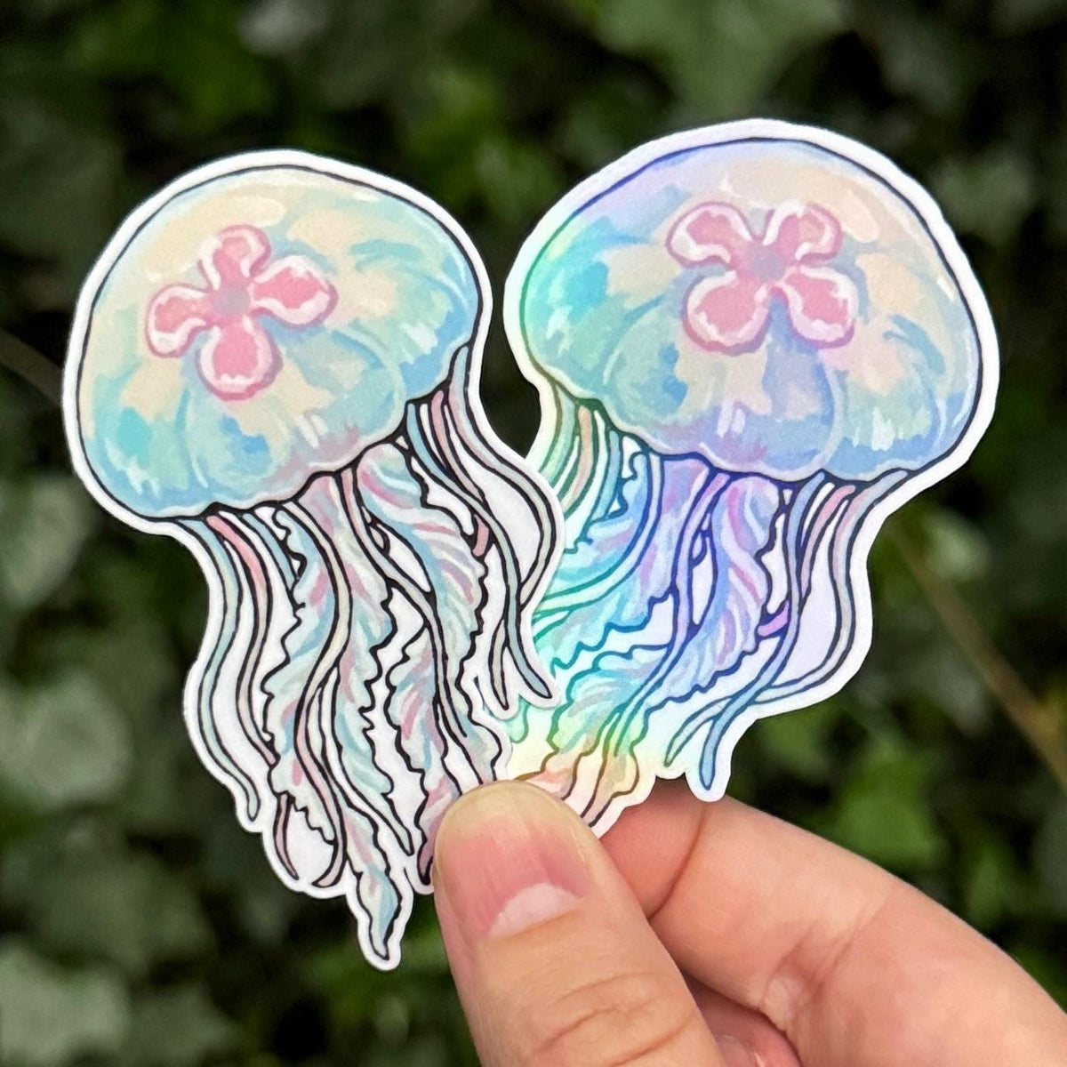 Moon Jellyfish sticker, sea creature