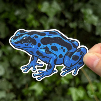 Poison Dart Frog sticker