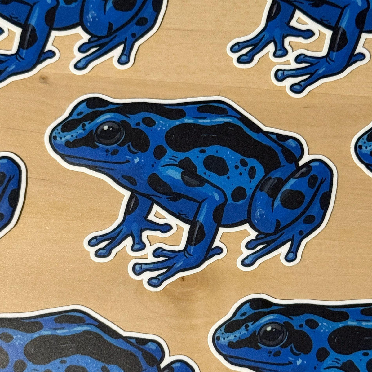Poison Dart Frog sticker – view 2