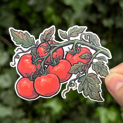 Tomato sticker, tomatoes on the vine