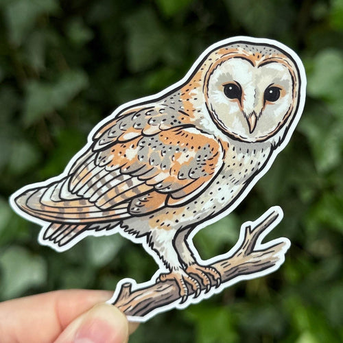 Barn Owl sticker, heart face owl