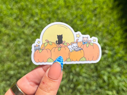 Pumpkin Reading Cats sticker