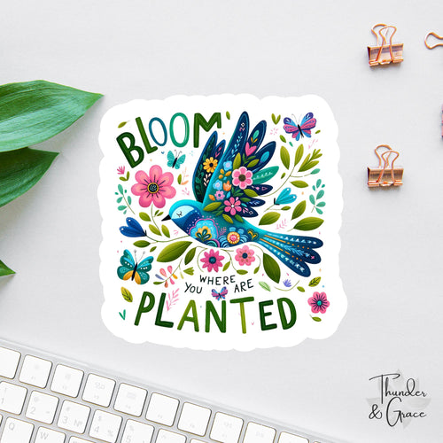 Bloom Where You Are Planted sticker, words of affirmation
