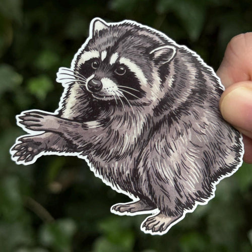Jimothy sticker, seattle raccoon