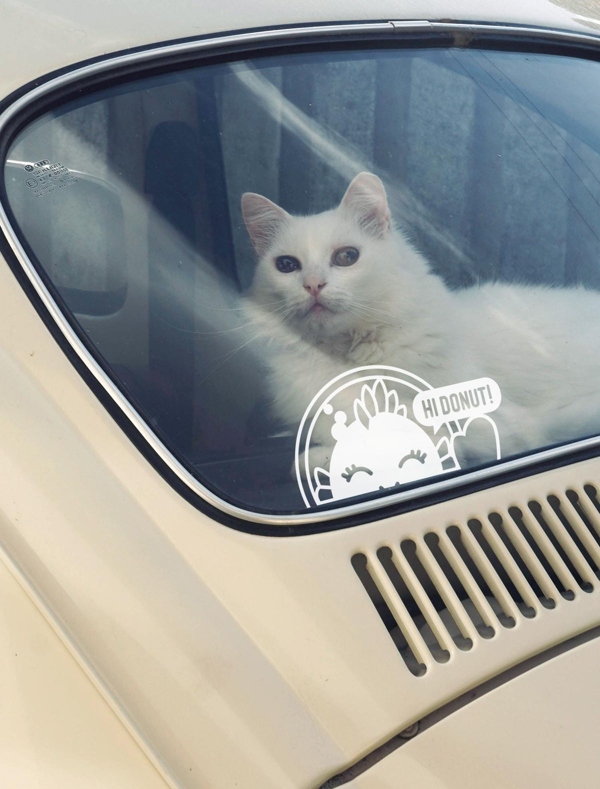 Zev White Window Decal – Hi Donut – view 4