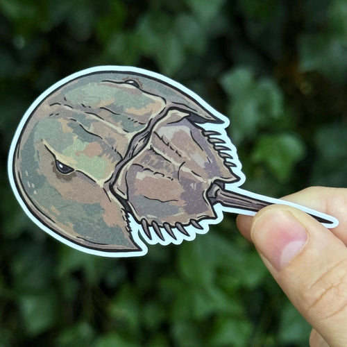 Horseshoe Crab sticker, northeast icon