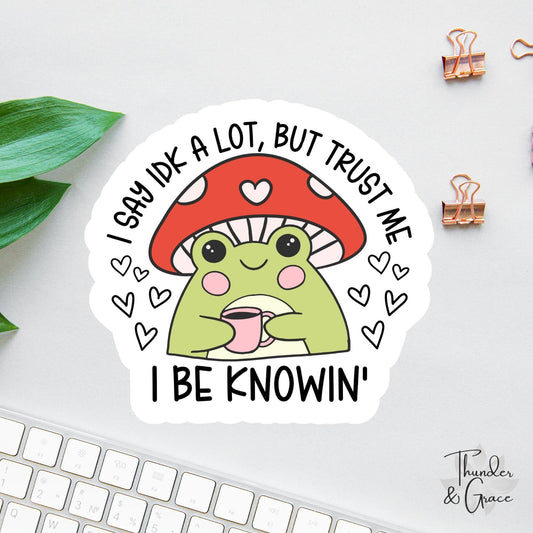 I Say IDK a Lot But Trust Me I Be Knowin' sticker