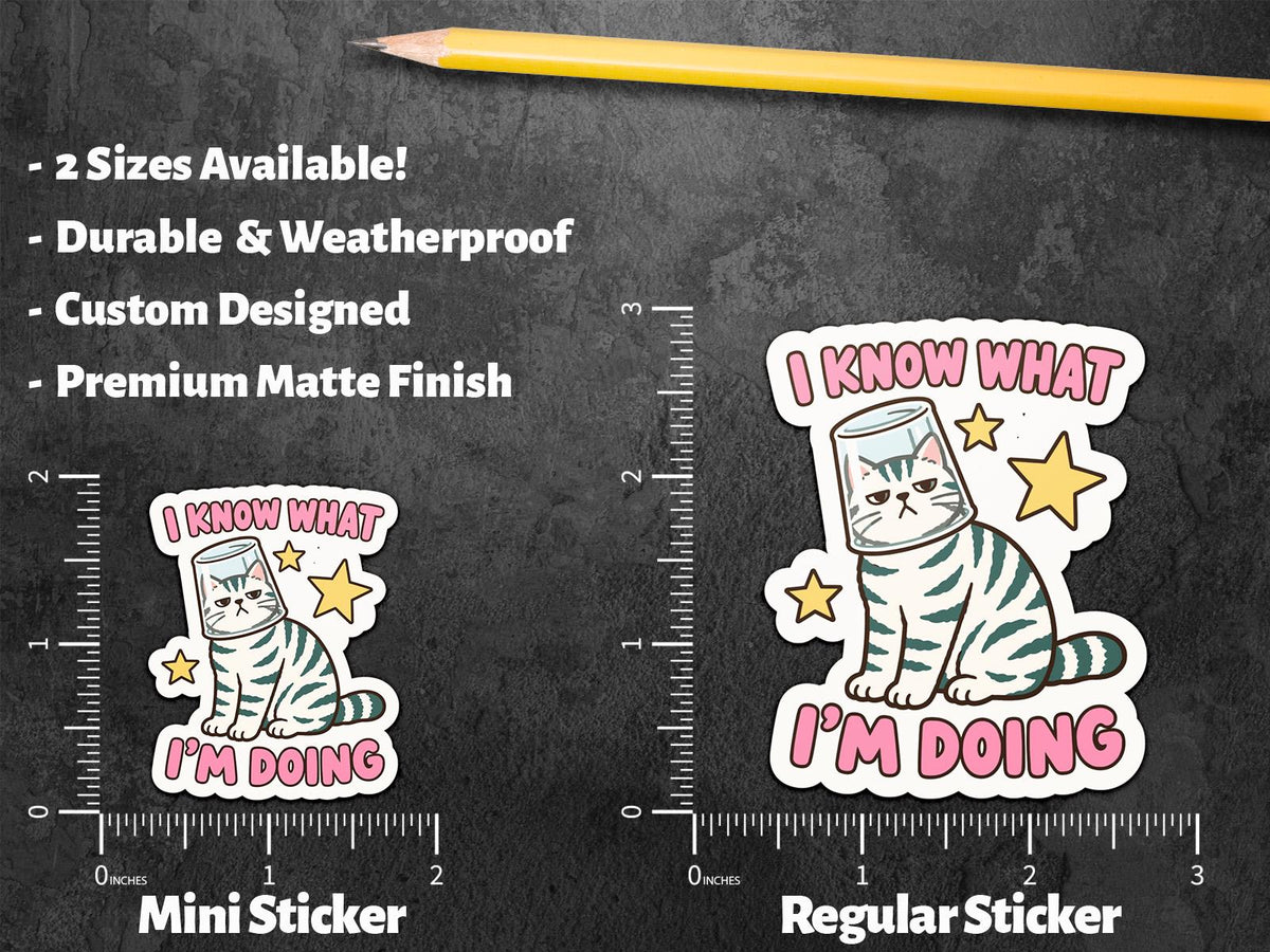 I Know What I’m Doing Cat sticker, sarcastic cat humor – view 2