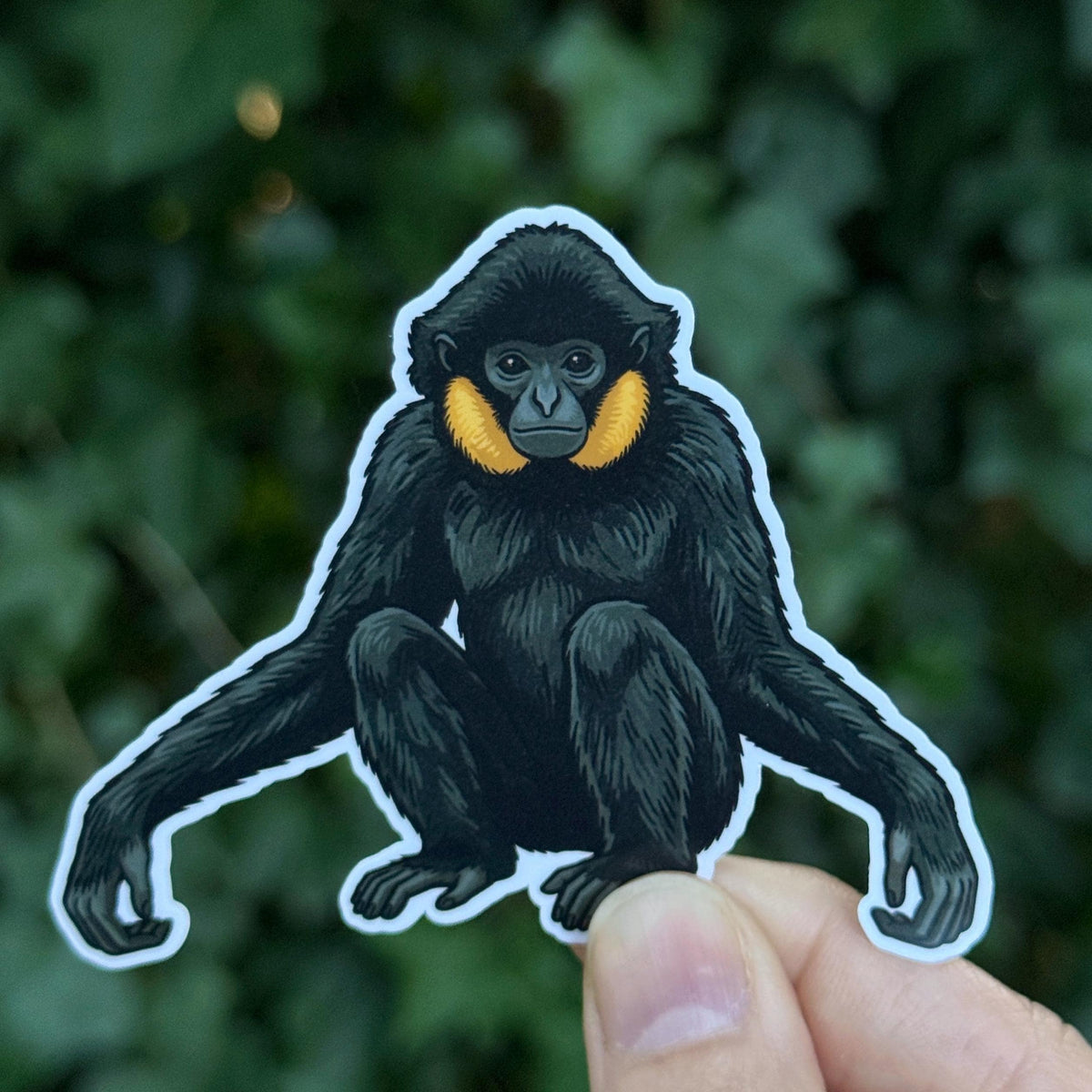Yellow-cheeked Gibbon sticker, southeast asia wildlife