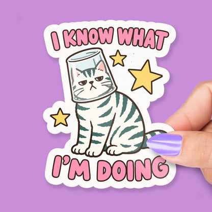 I Know What I’m Doing Cat sticker, sarcastic cat humor