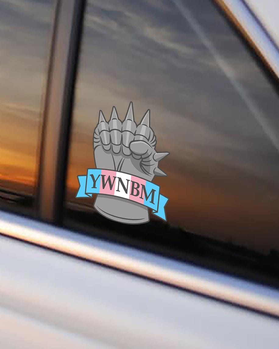 You Will Not Break Me Pride Car Decal – White Vinyl – view 3